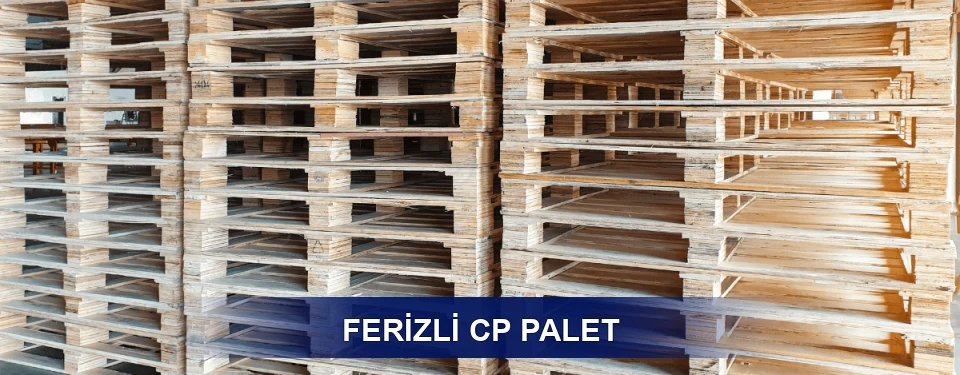 Ferizli Standart Tipler